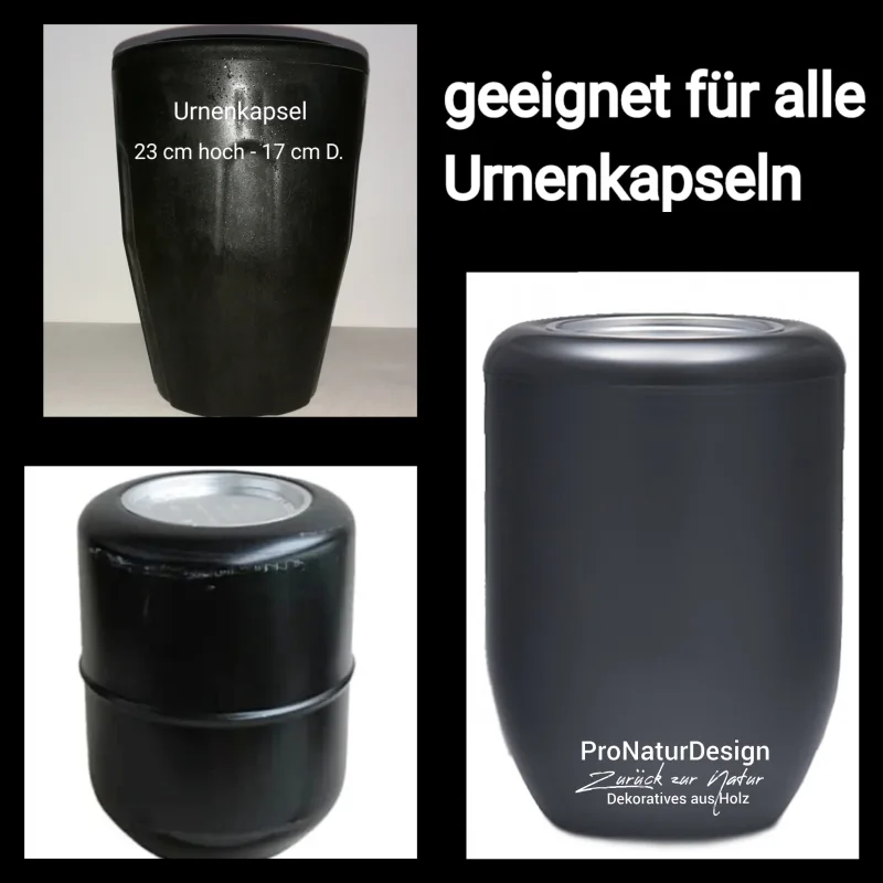 Holz Urne - Birke m03