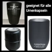 Holz Urne - Birke m03