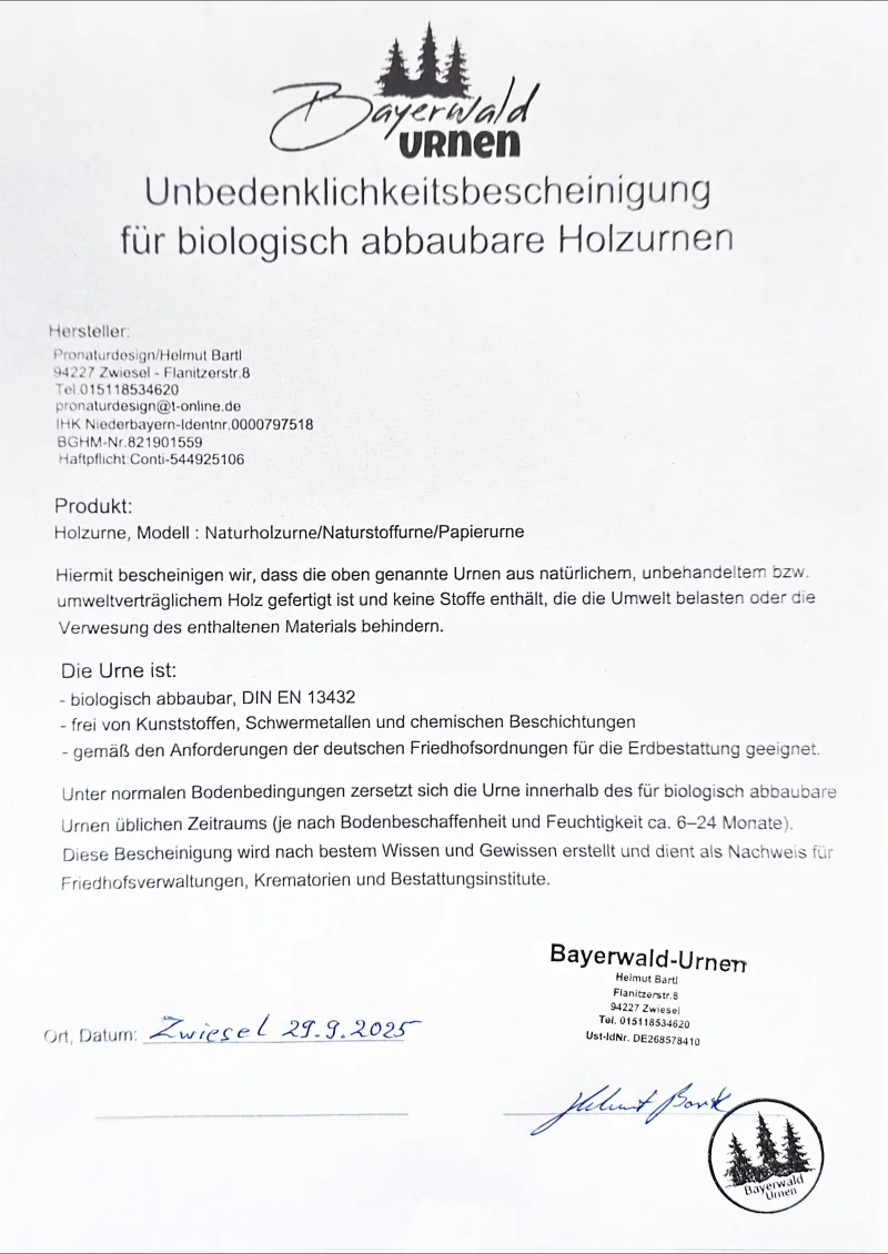 Holz Urne - Birke m03