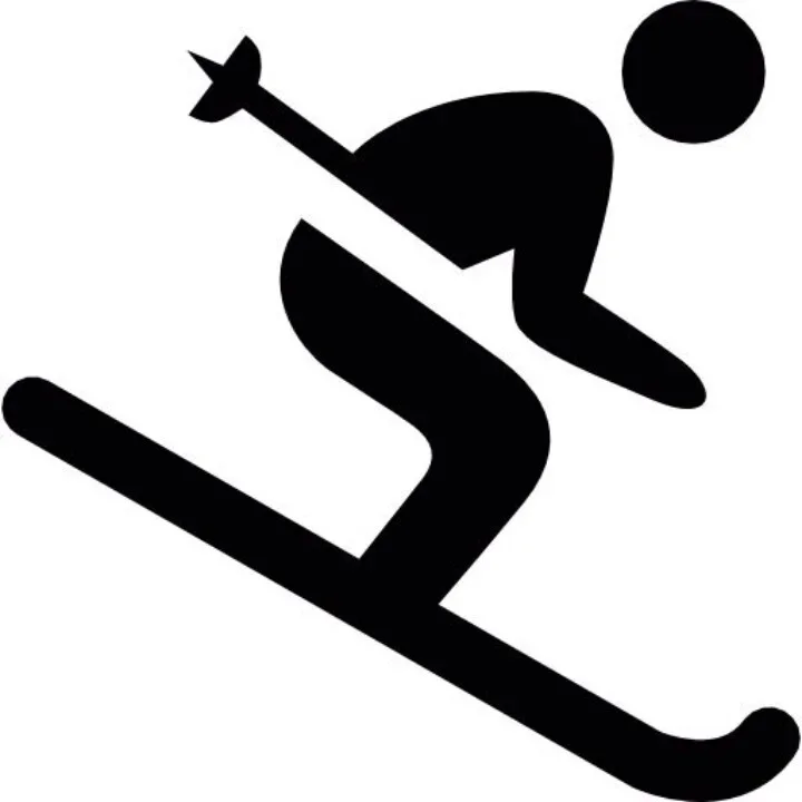 Emblem-Skifahrer/Schwarz
