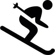 Emblem-Skifahrer/Schwarz