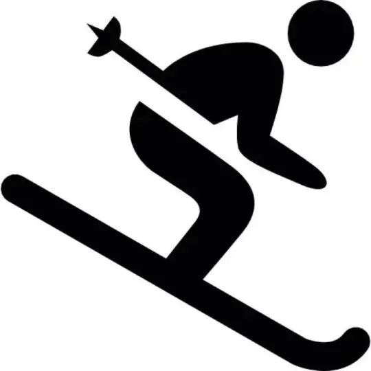 Emblem-Skifahrer/Schwarz