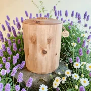 Holz Urne/Stille Wälder - Birke sw02-2