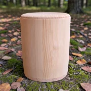 Holz Urne/Stille Wälder-Tanne sw01