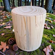 Holz Urne/Stille Wälder-Tanne sw07