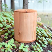 Holz Urne/Stille Wälder-Tanne sw10